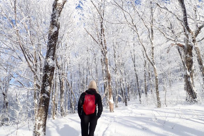 A Secluded Couple’s Getaway At Mont-megantic