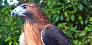 What To See In New Orleans With The Family What To See In New Orleans With The Family