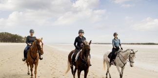 15 Hilton Head Family Activities 15 Hilton Head Family Activities