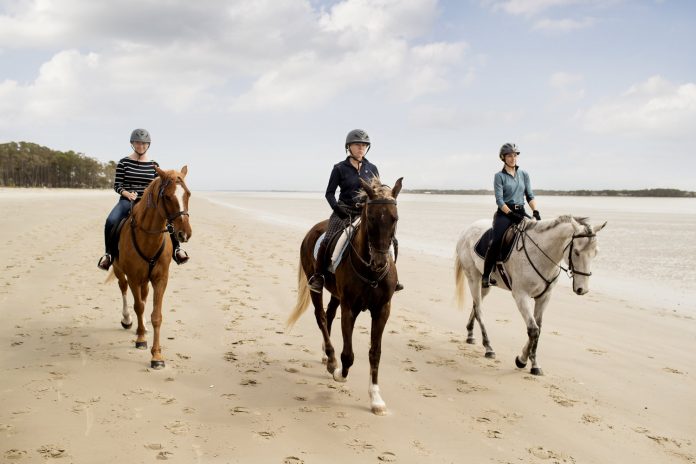 15 Hilton Head Family Activities