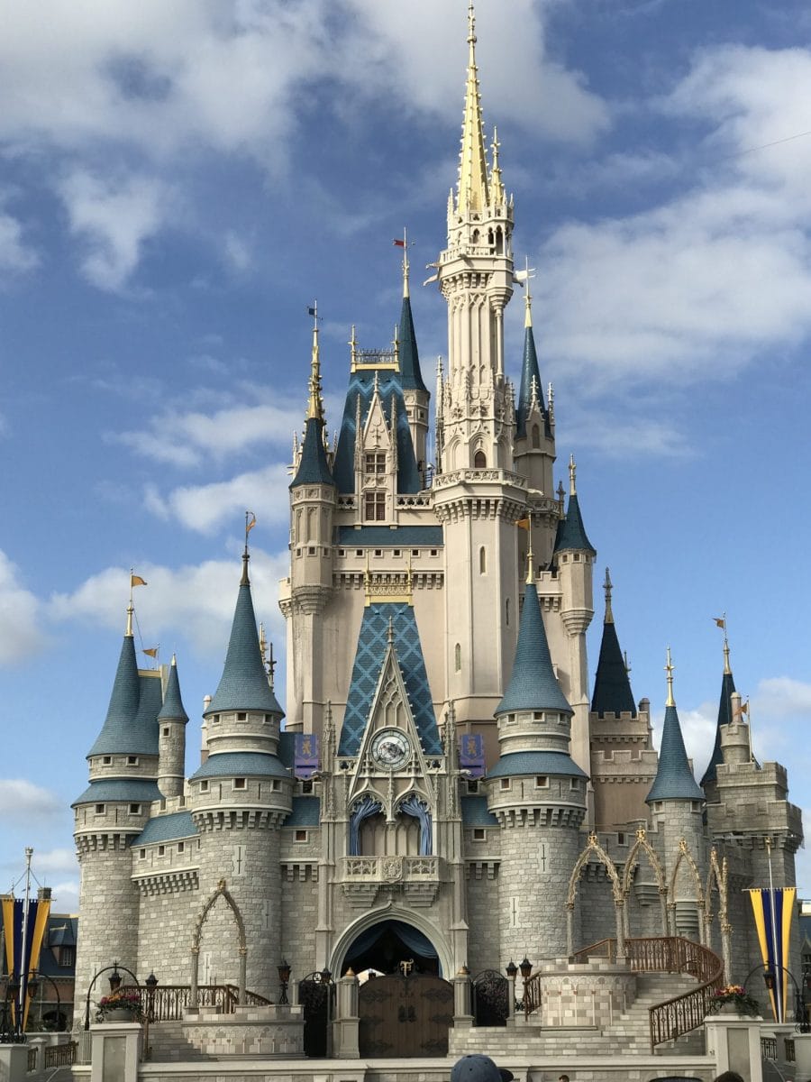 Saving For Disney: A Vacation For All Families!