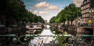 11 Basic International Travel Necessities Everyone Needs International Travel Necessities