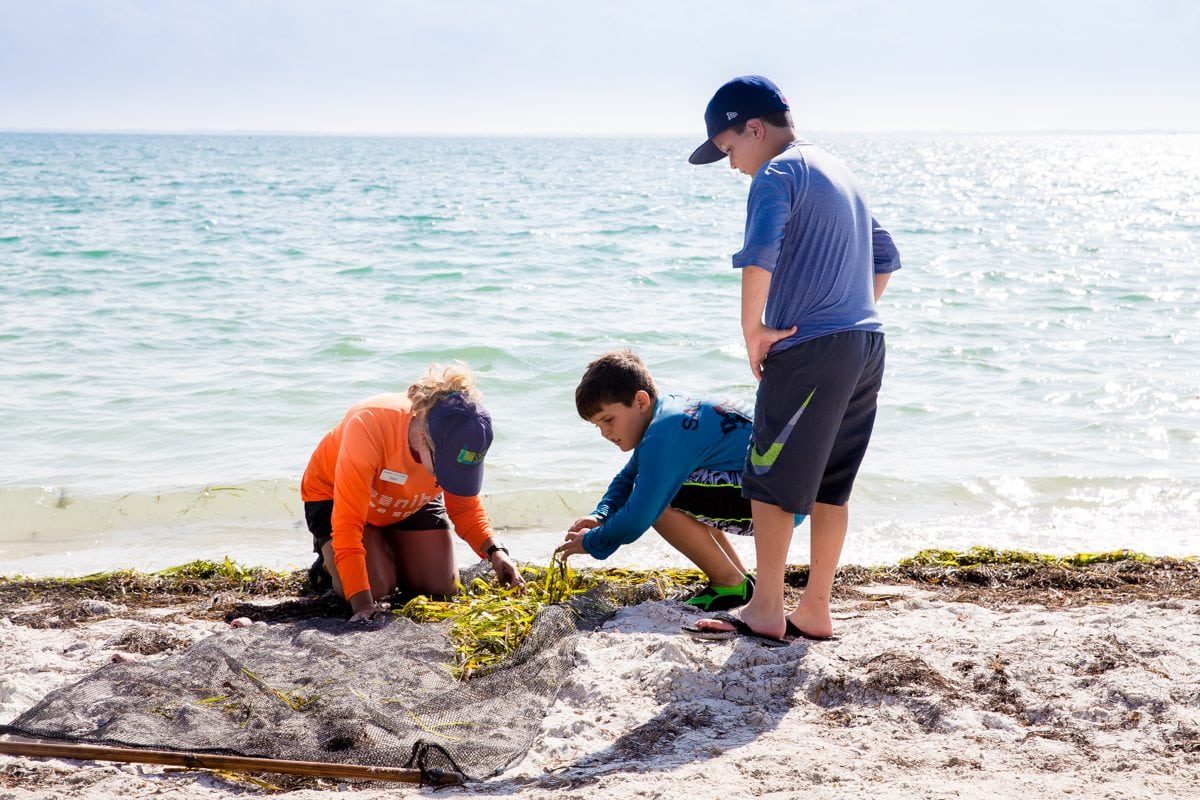 25+ Things To Do At South Seas Island Resort On Captiva Island, Florida