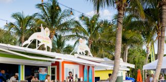 25 Things to Do at South Seas Island Resort in Captiva, Florida {in Photos} 25+ Things To Do At South Seas Island Resort On Captiva Island, Florida