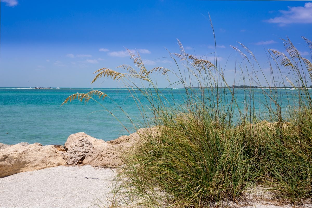 25+ Things To Do At South Seas Island Resort On Captiva Island, Florida