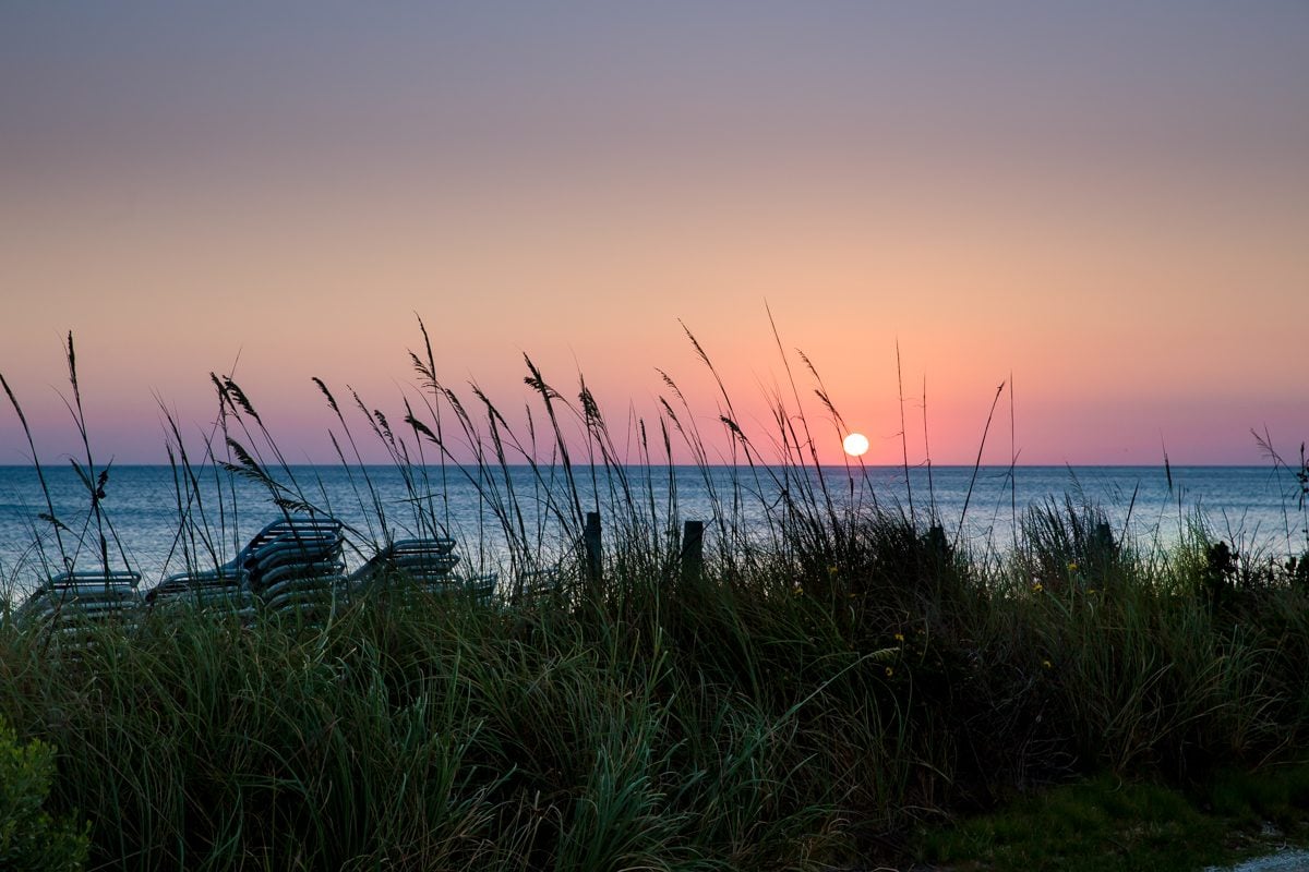 25+ Things To Do At South Seas Island Resort On Captiva Island, Florida [with Photos]