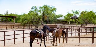 10 Best Dude Ranches for An All-Inclusive Experience 10 Best Dude Ranches For An All-inclusive Experience