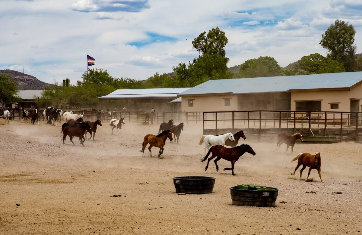 10 Best Dude Ranches For An All-inclusive Experience