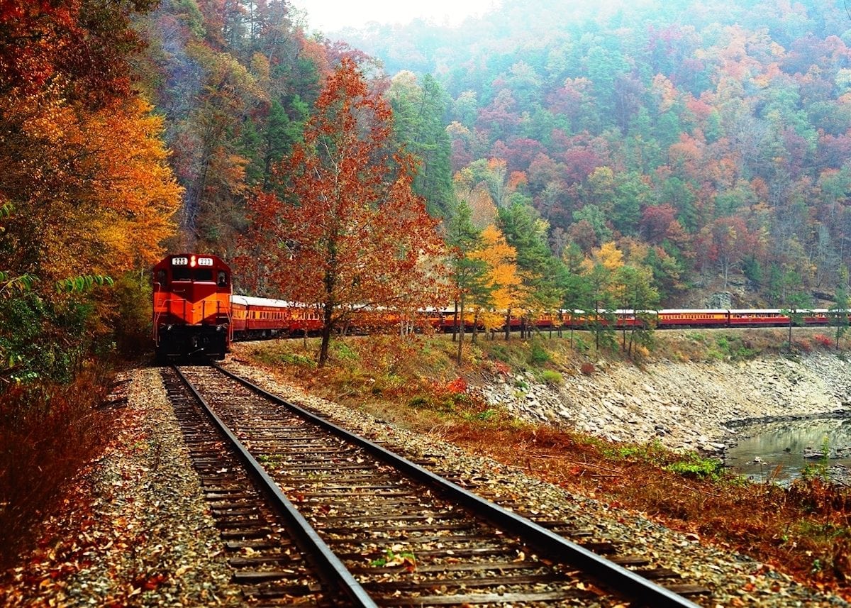 Best Places To Visit In North Carolina In The Fall
