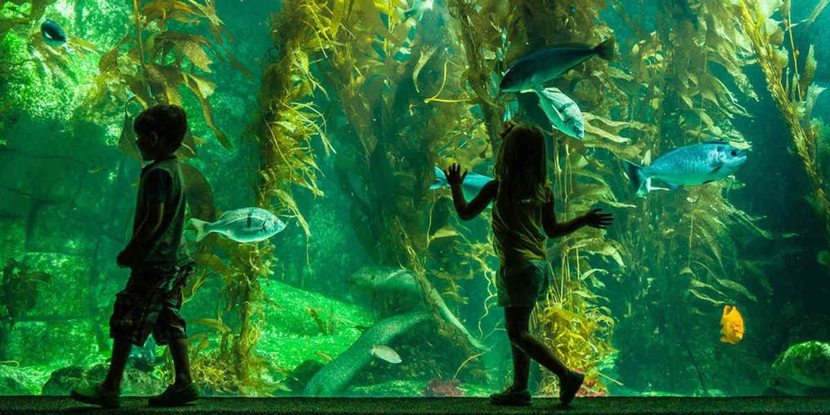 How To Have The Best San Diego Family Vacation