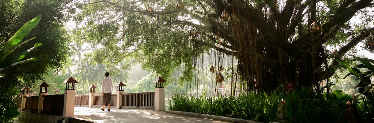 19 Luxury Resorts We Wish We Could Visit