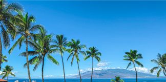 Black Friday and Cyber Monday Travel Deals 2019 Black Friday And Cyber Monday Travel Deals 2019