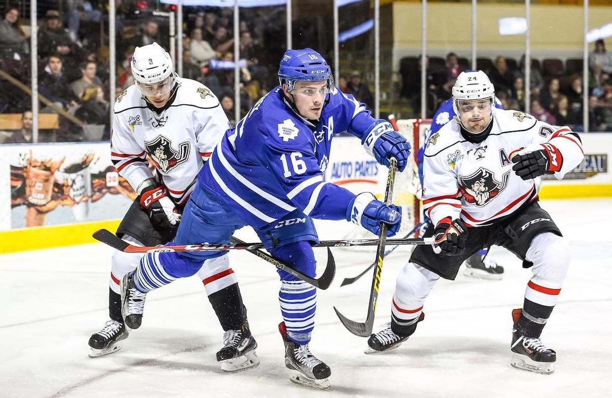 11 Things To Do In Toronto In The Winter