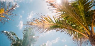 The Florida Points of Interest You Cannot Miss The Florida Points Of Interest You Cannot Miss