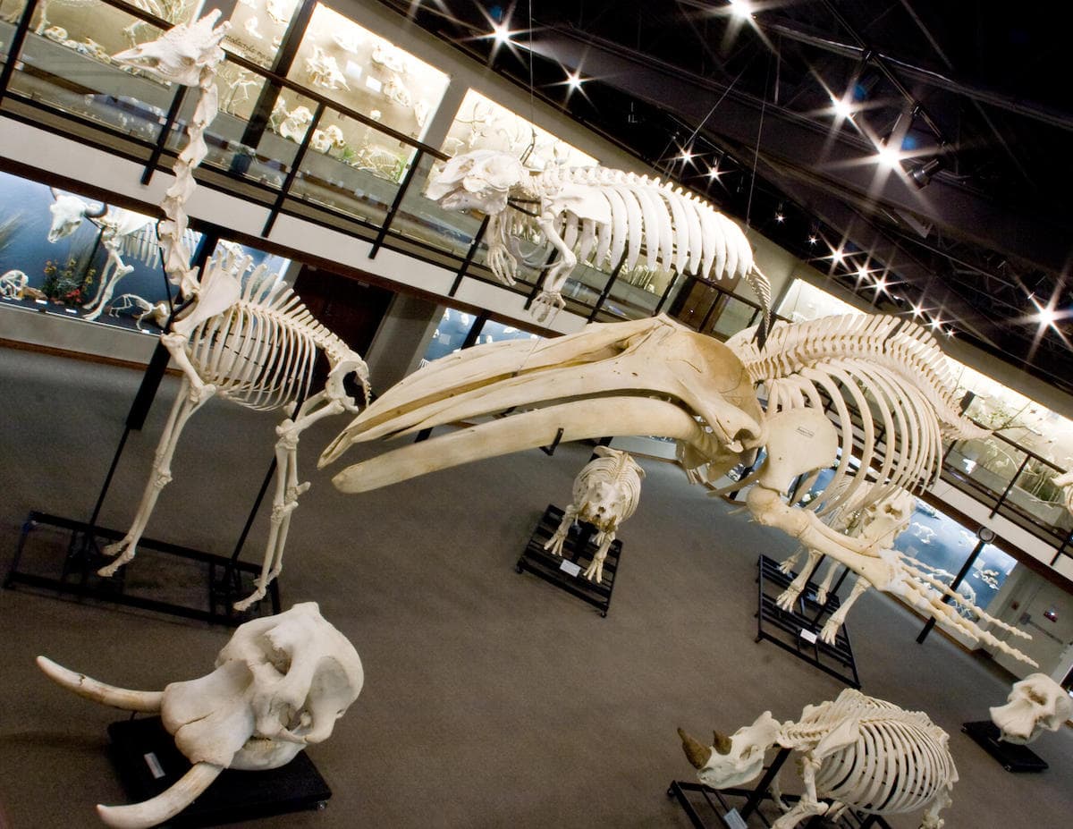 27 Oklahoma City Attractions For Families