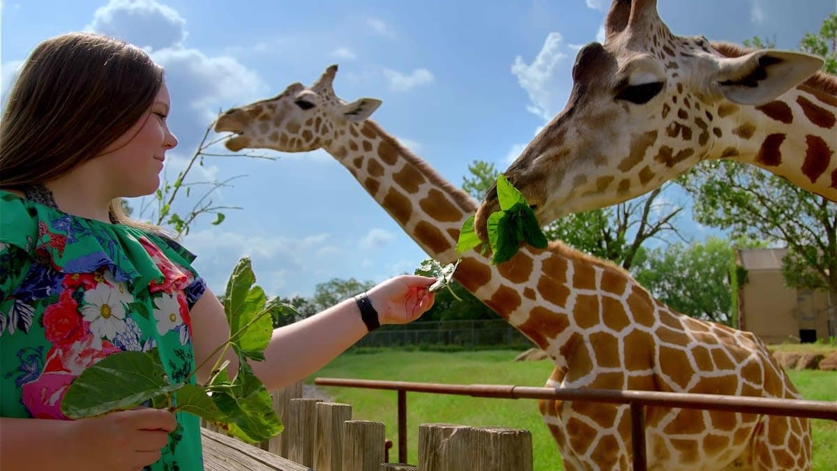 27 Oklahoma City Attractions For Families