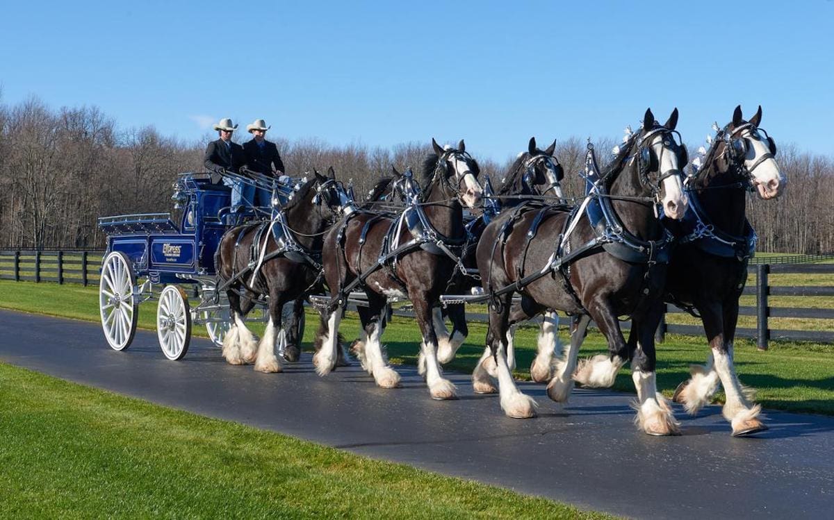 27 Oklahoma City Attractions For Families