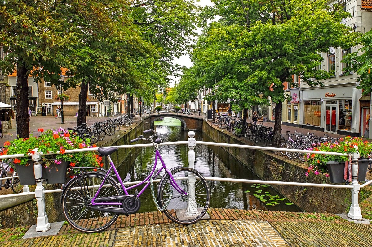 Guide To Bike Tours For Your Next Trip