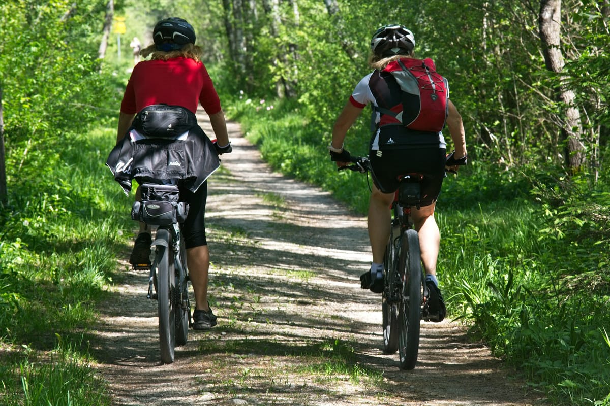 Guide To Bike Tours For Your Next Trip