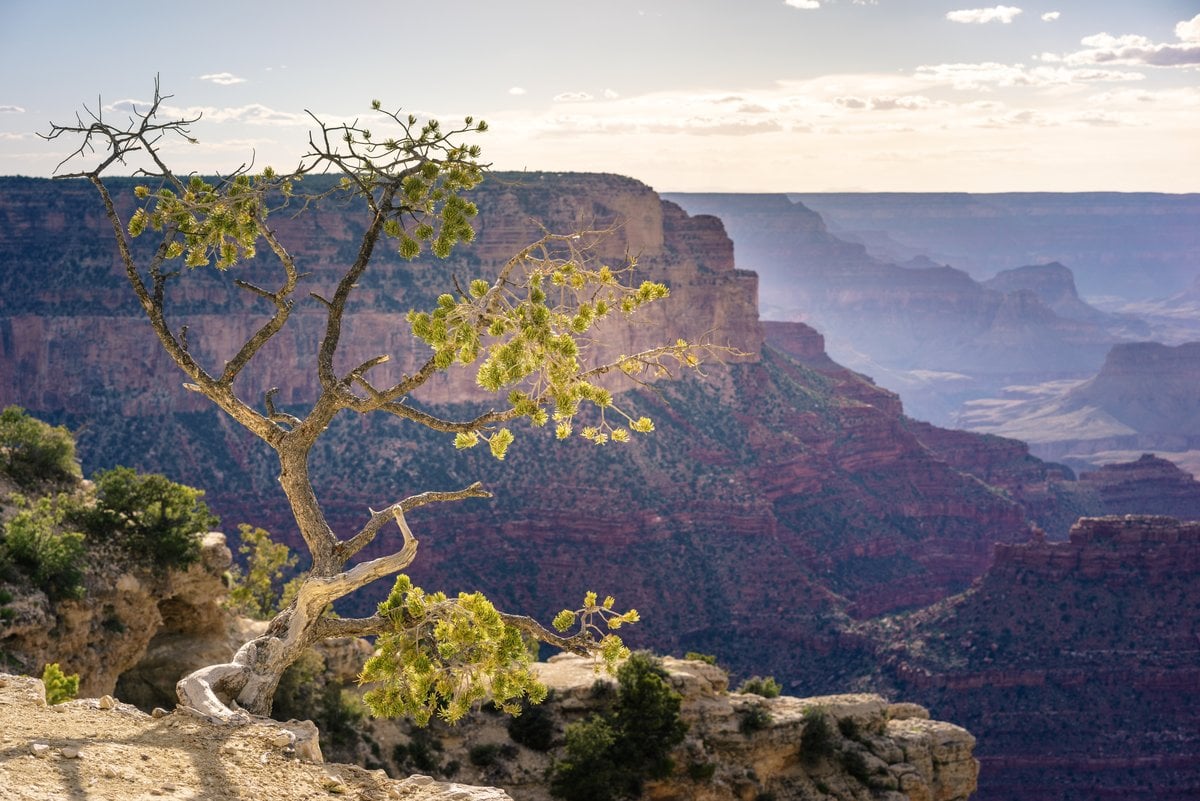A Beginners Guide To Grand Canyon Camping