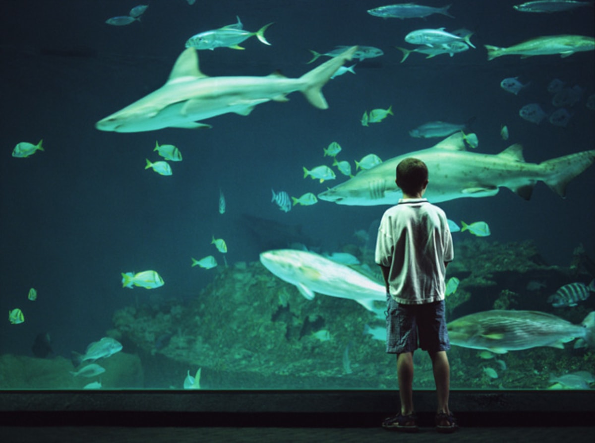 every avenue travel parent portal cities to visit in North Carolina