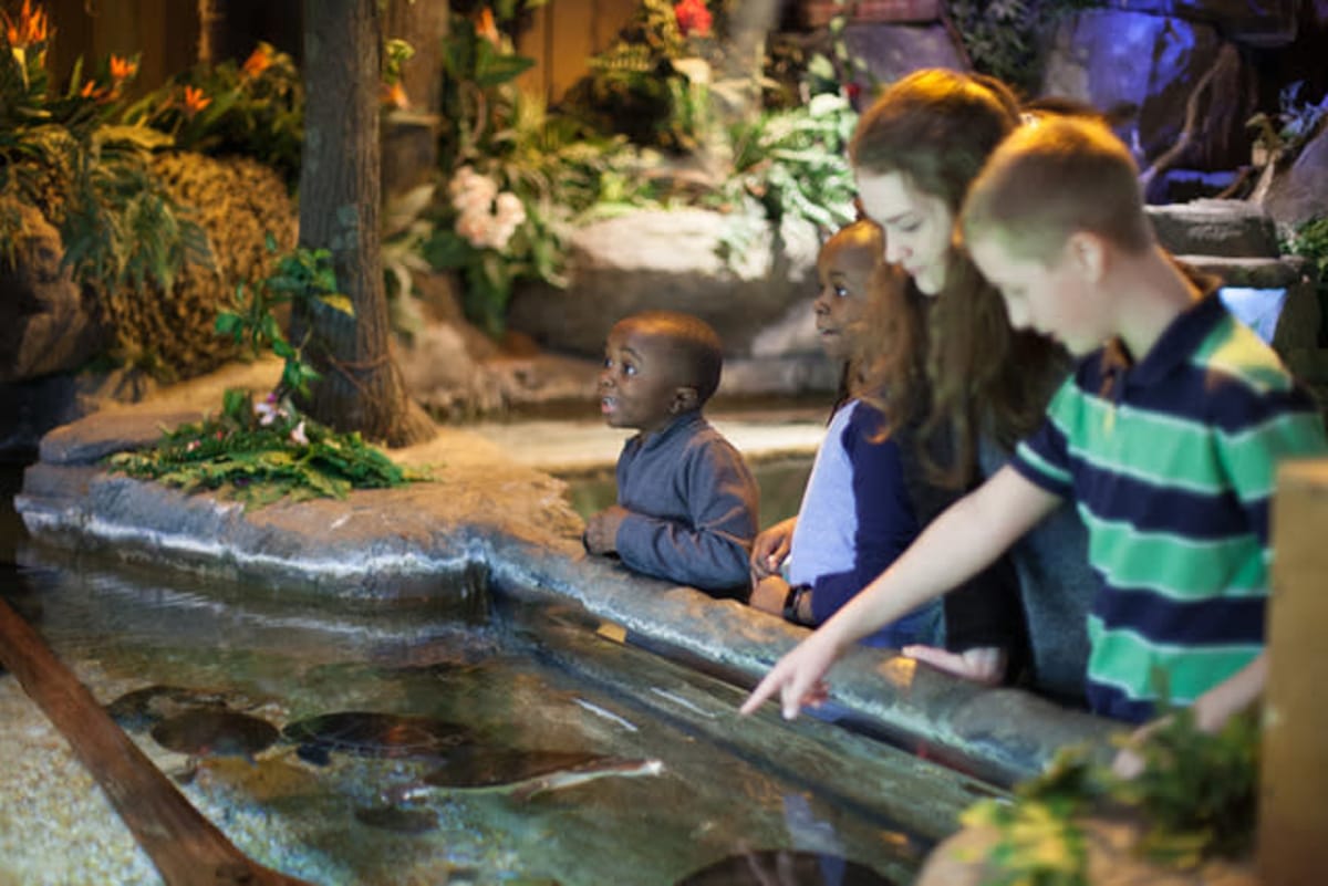 every avenue travel parent portal cities to visit in North Carolina