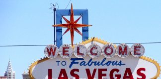 Take An Exciting Trip To Las Vegas For The Family Vacation Why Las Vegas Is A Great Place For Everyone In Your Family. The Foodie. The Marvel Fan. The Nature Enthusiast. The Animal Lover. The Adventurer. The Instagrammer.
