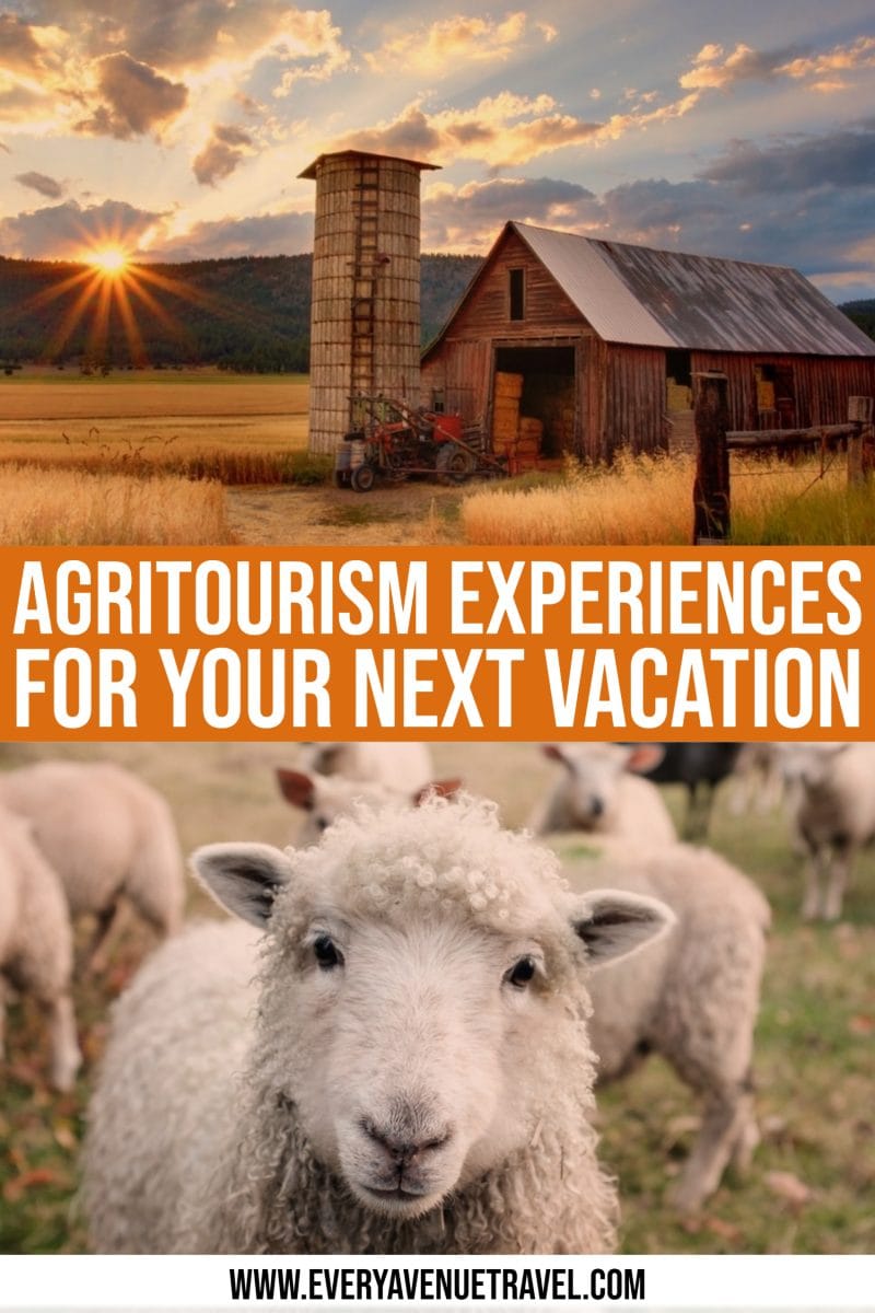 every avenue travel Agritourism