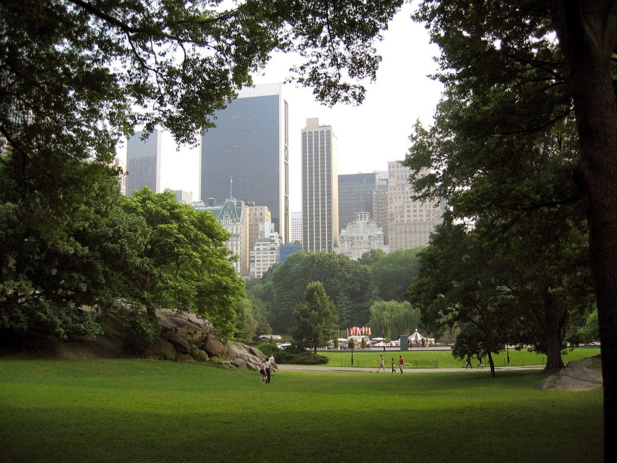 Want An Exciting Alternative To Disney, For A Fraction Of The Price?  Think New York City.