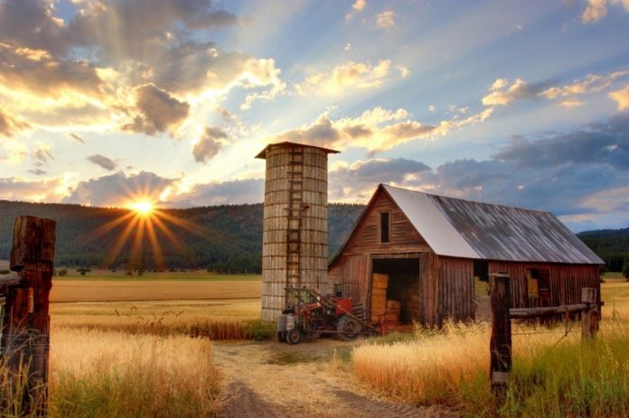 5 Agritourism Experiences To Consider For Your Next Vacation