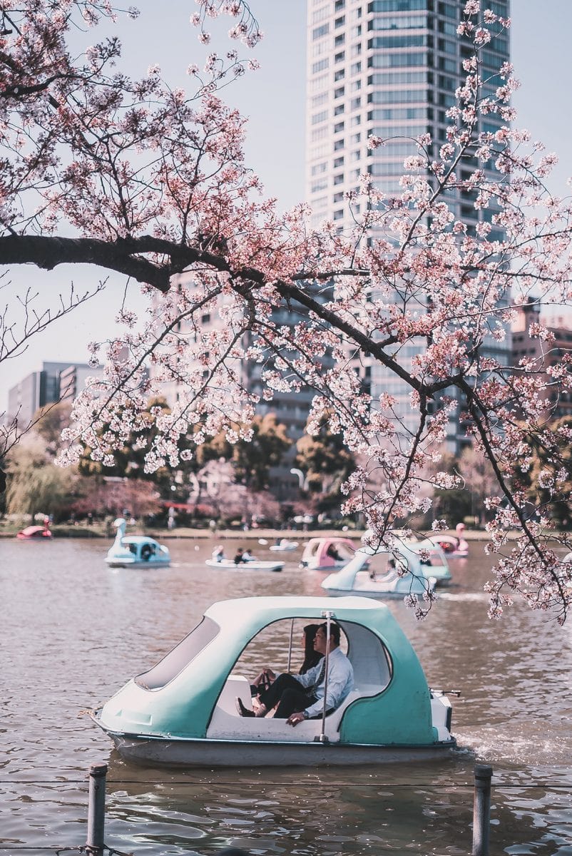 7 Memorable Things To See In Tokyo Japan!