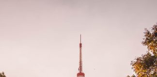 7 memorable things to see in Tokyo Japan 7 Memorable Things To See In Tokyo Japan!