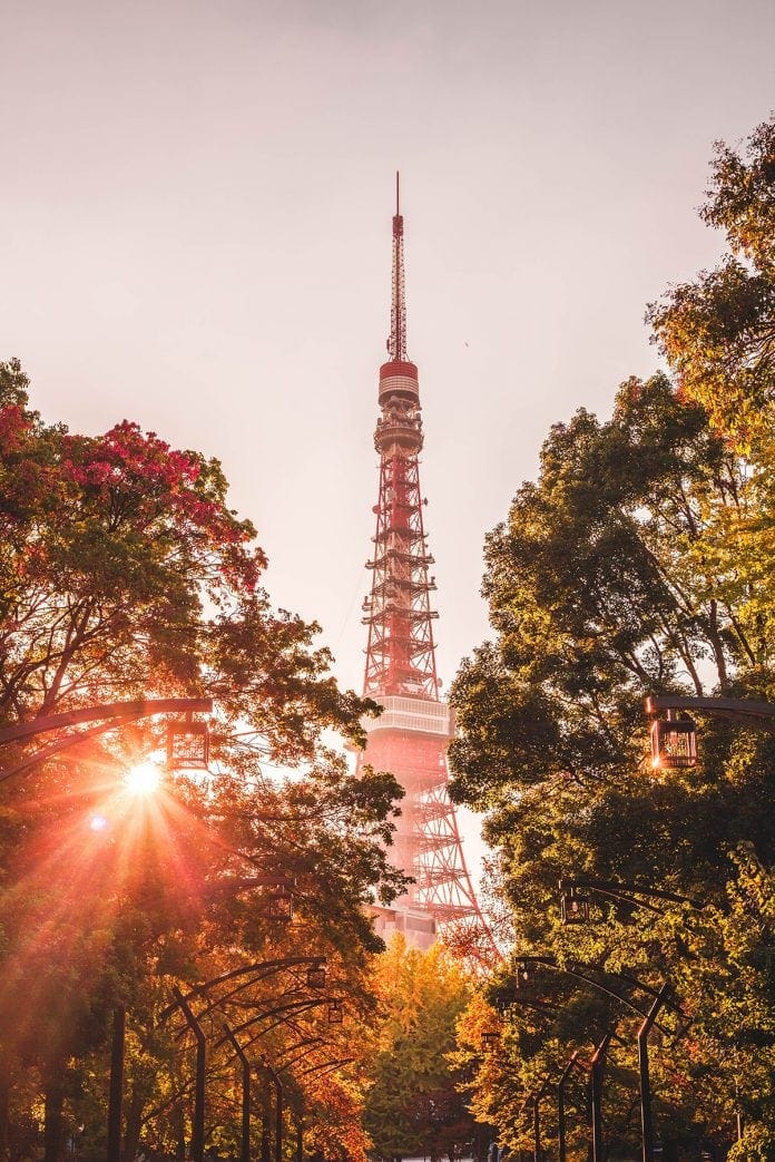 7 Memorable Things To See In Tokyo Japan!