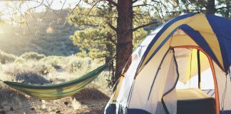 Our Favorite Must-Visit South Carolina Campgrounds Must-visit South Carolina Campgrounds