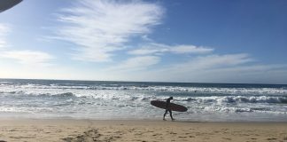 7 Free Things To Do in LA, Believe it or Not 7 Free (or Almost Free) Things You Can Do In And Around Los Angeles