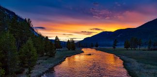 Your Perfect Yellowstone Vacation: What to See & When to Go yellowstone-national-park