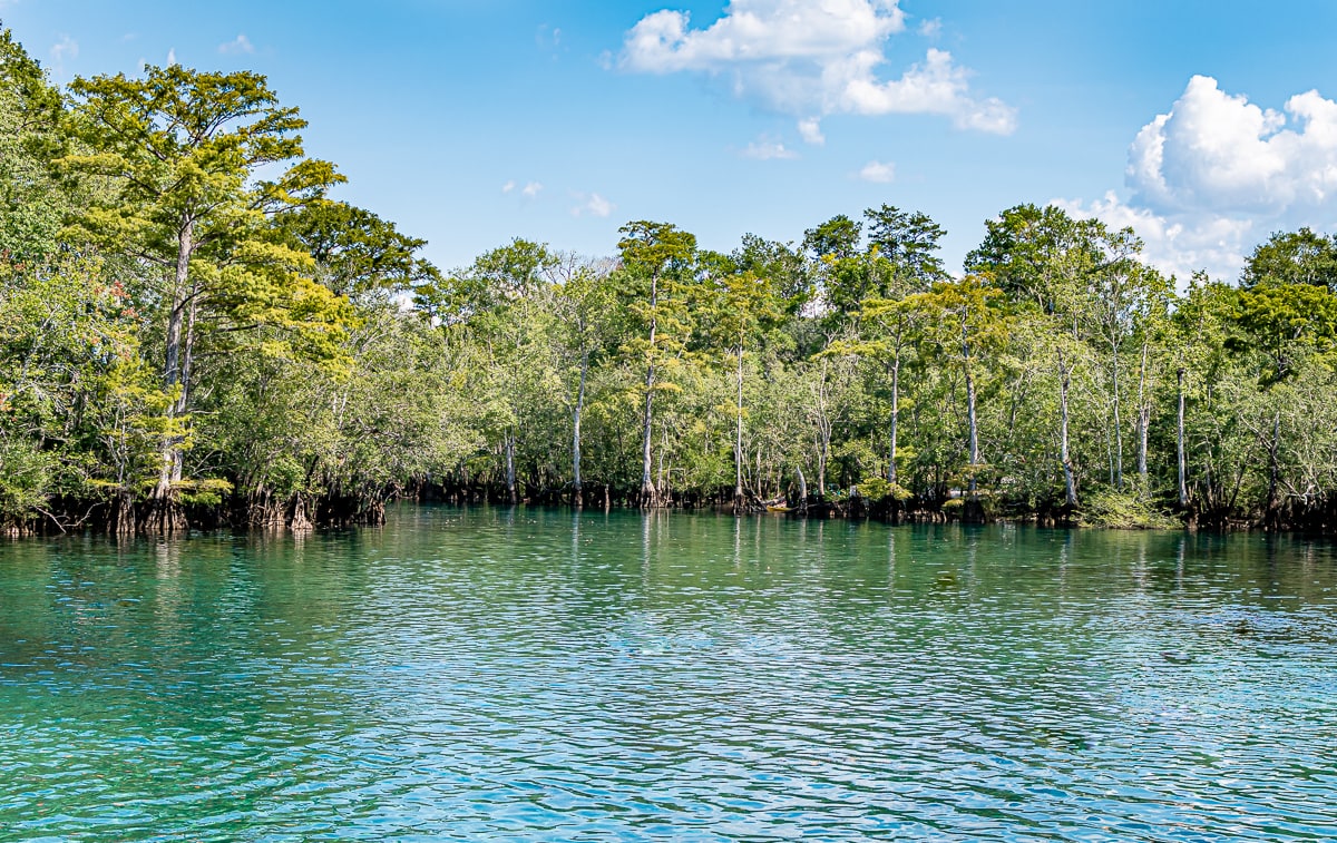 every-avenue-travel-Rv Resort In Florida: 