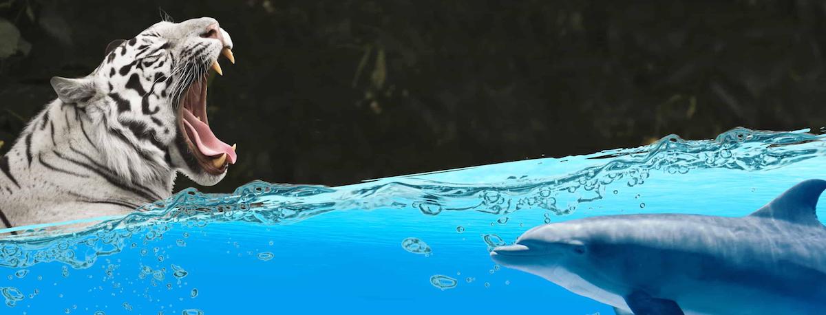 every-avenue-travel-las-vegas-for-the-family