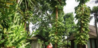 5 Awesome Advantages of Booking A Vacation To Go 5 Advantages Of Booking A Vacation To Go