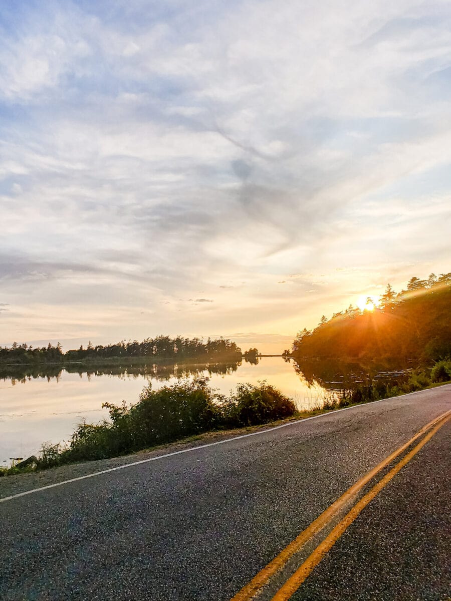 every-avenue-travel-kid-travel