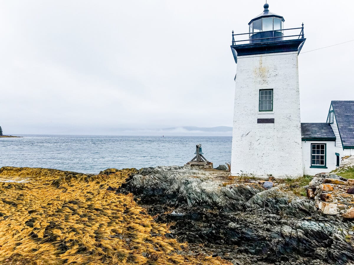 every-avenue-travel-kid-travel