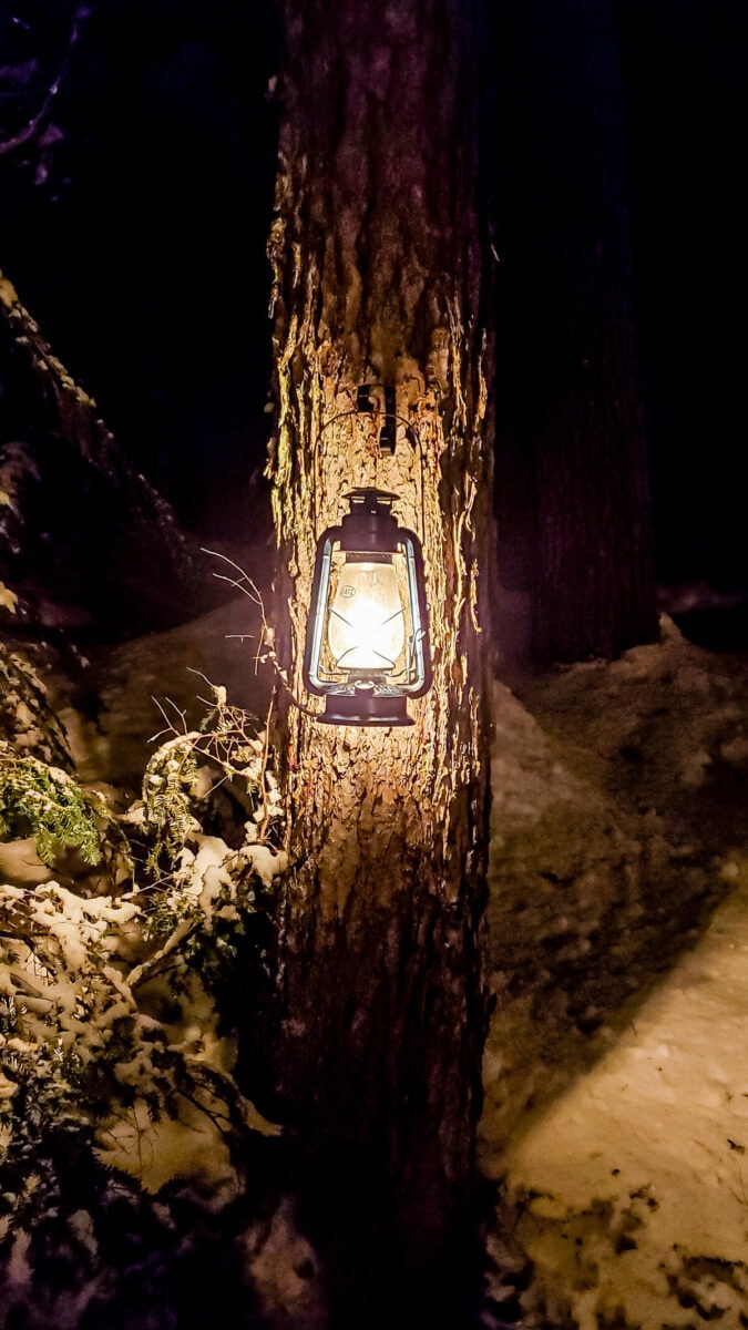 every-avenue-travel-kid-travel