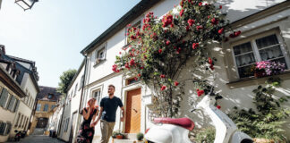 Professional Vacation Photos and Why You’ll Love Them for Every Trip every-avenue-travel-vacation-photos-Professional Vacation Photos And Why You’ll Love Them For Every Trip