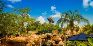 Sliding Through 10 Of The Best Water Parks In The US every-avenue-travel-The-Best-Water-Parks-In-The-Us