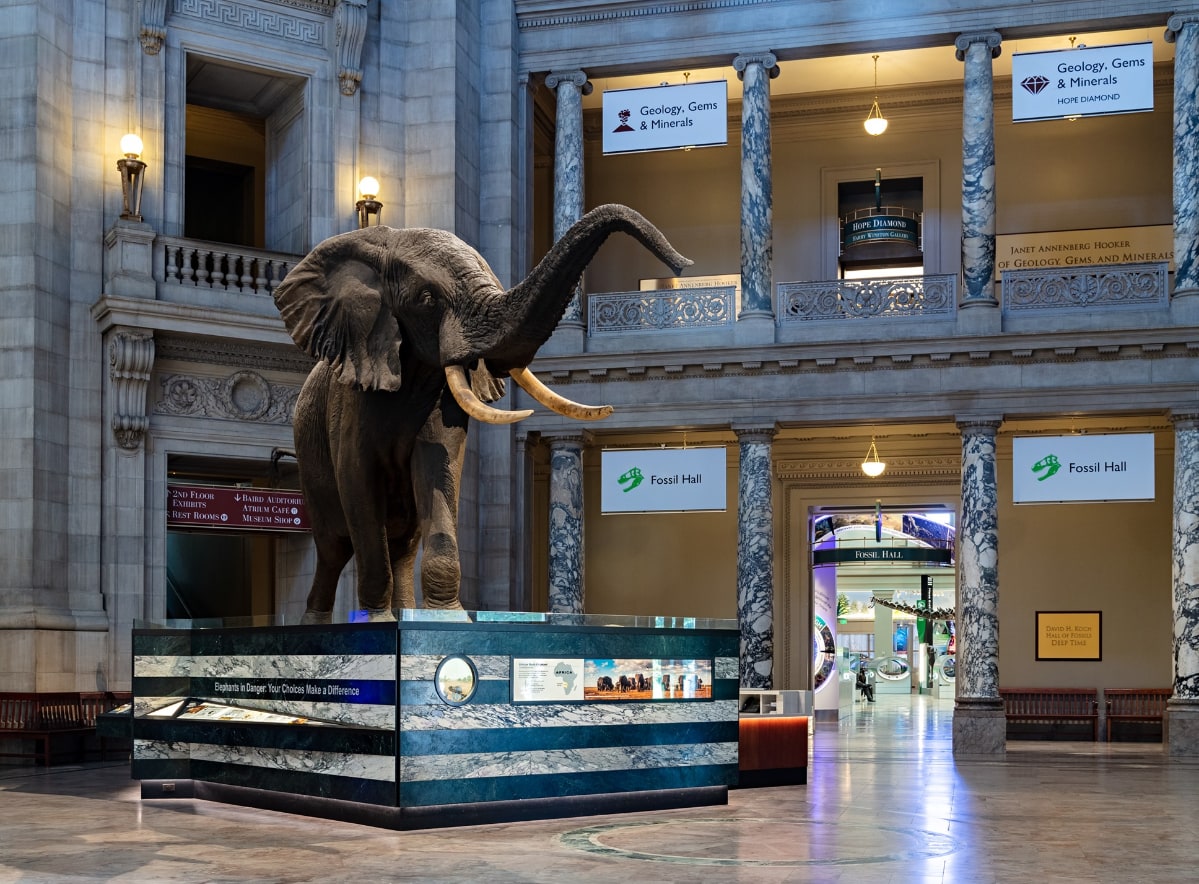 every avenue travel Washington Dc With Kids