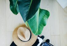 10 Of The Best Essentials For Cruising 10 Of The Best Essentials For Cruising