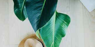 10 Of The Best Essentials For Cruising 10 Of The Best Essentials For Cruising