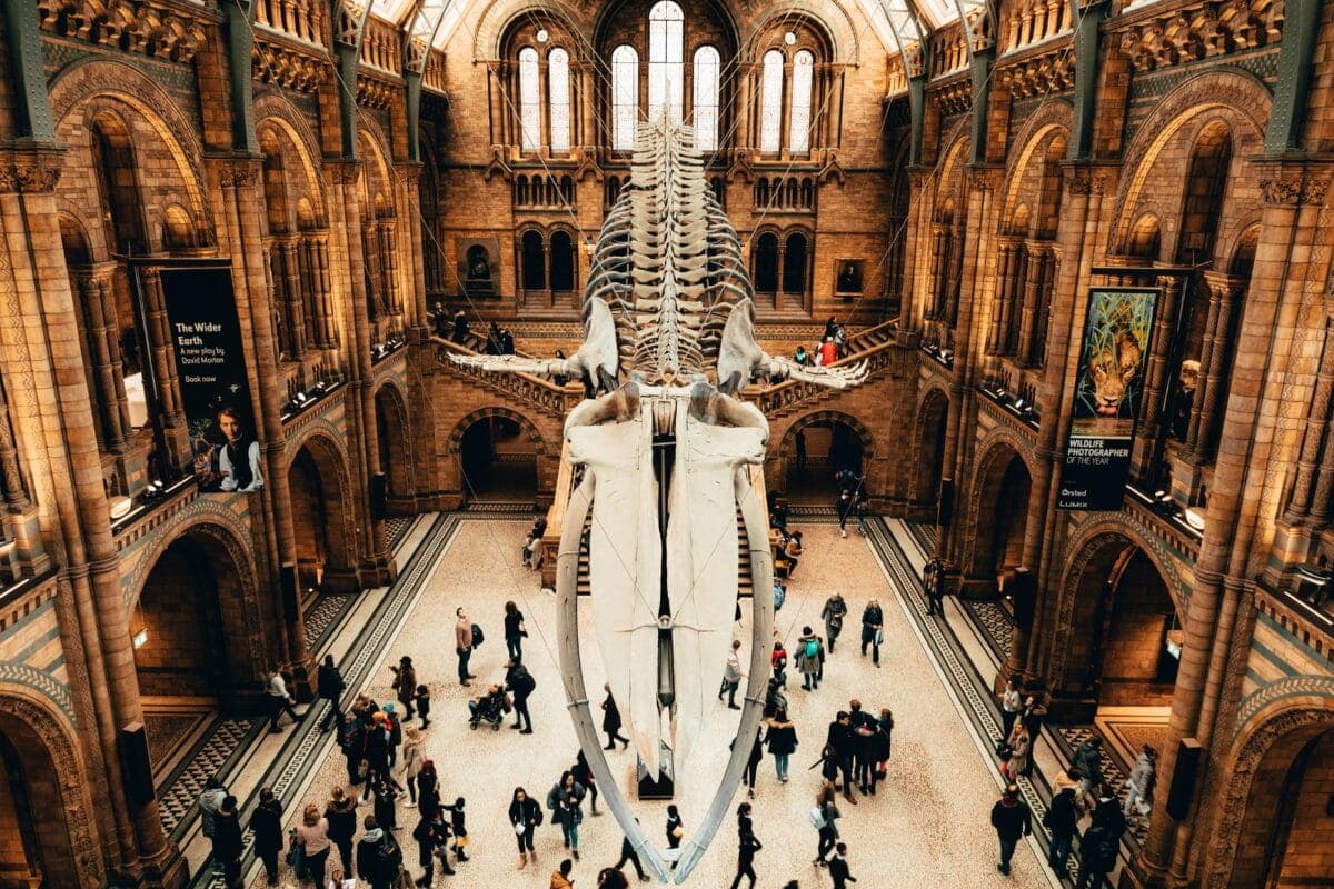 10 Of The World's Best Museums To Explore ⋆ Every Avenue Travel