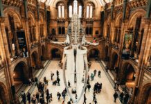 10 Of The World’s Best Museums To Explore every-avenue-travel-world's-best-museums