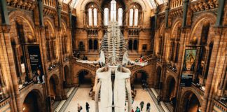 10 Of The World’s Best Museums To Explore every-avenue-travel-world's-best-museums